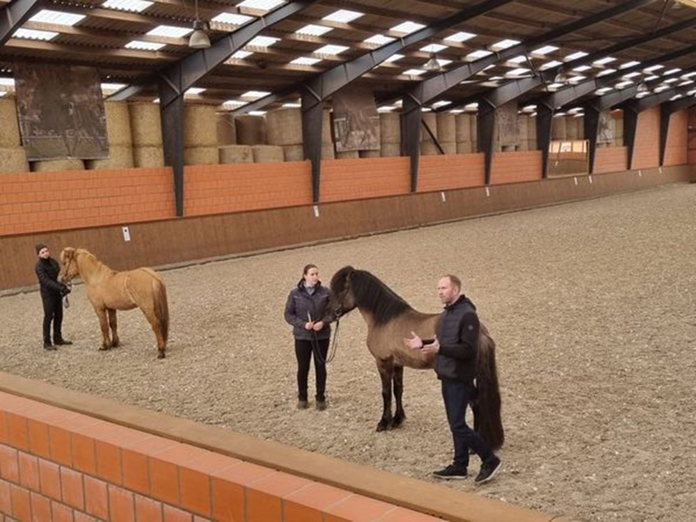 Interesse in fokkerij en keuringen?