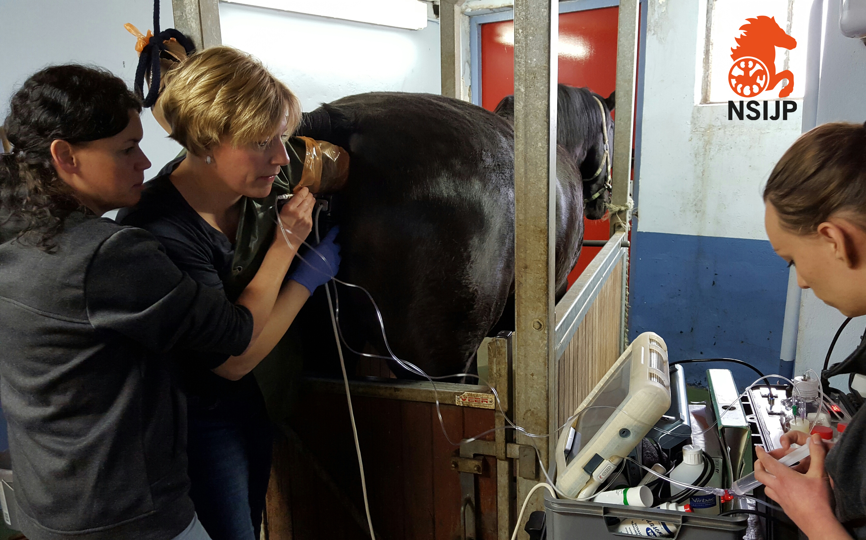 Lezing  "Drachtigheid en de moeilijke merrie" door Karin Hendriks