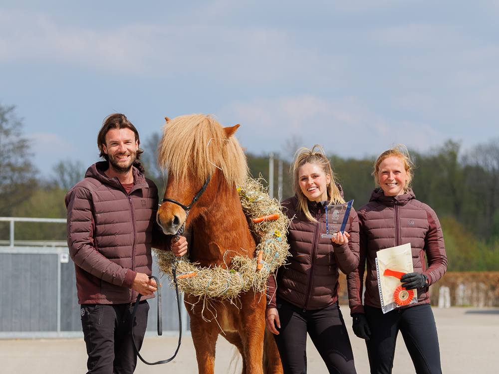 Tijdschema en deelnemers Jonge Hengstenkeuring 2023