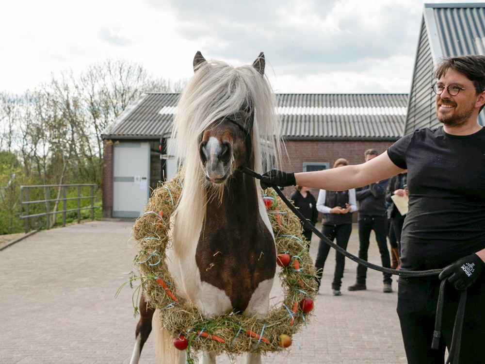 Kort verslag Jonge Hengstenkeuring 2023