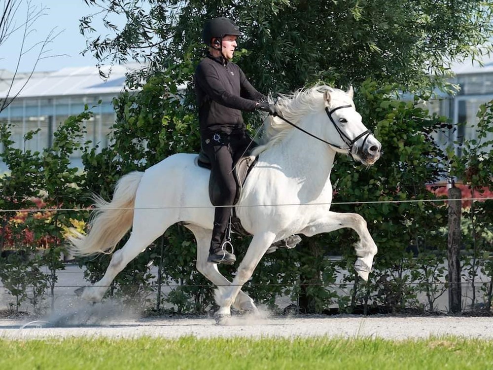 kort verslag FIZO keuring Hazerswoude-dorp