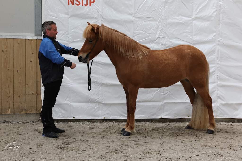 Verslag - uitgebreid - van de NSIJP FIZO keuring op 3-4 juni te Hazerswoude-dorp.