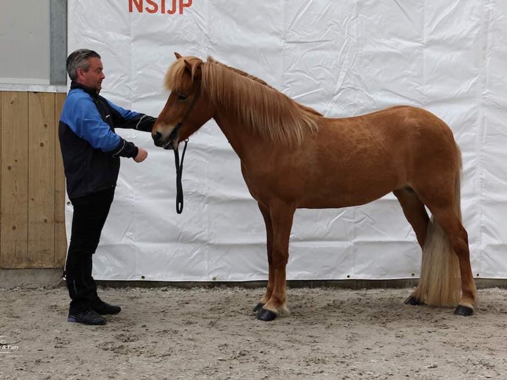 Verslag - uitgebreid - van de NSIJP FIZO keuring op 3-4 juni te Hazerswoude-dorp.