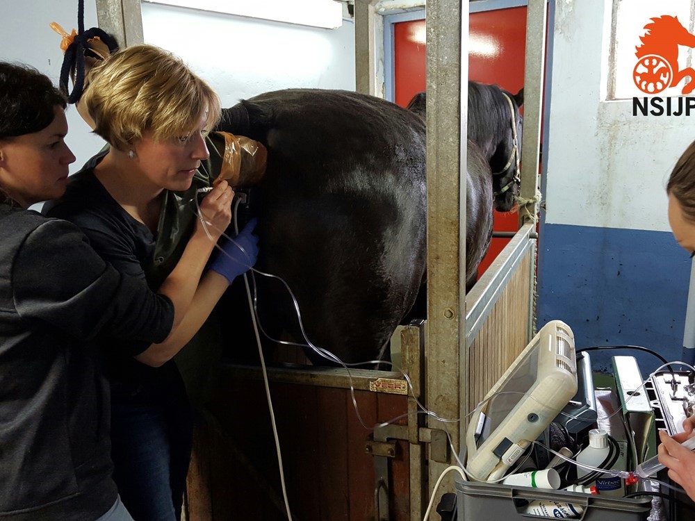 Verslag Klankbordbijeenkomst en lezing Karin Hendriks 11 mei j.l.
