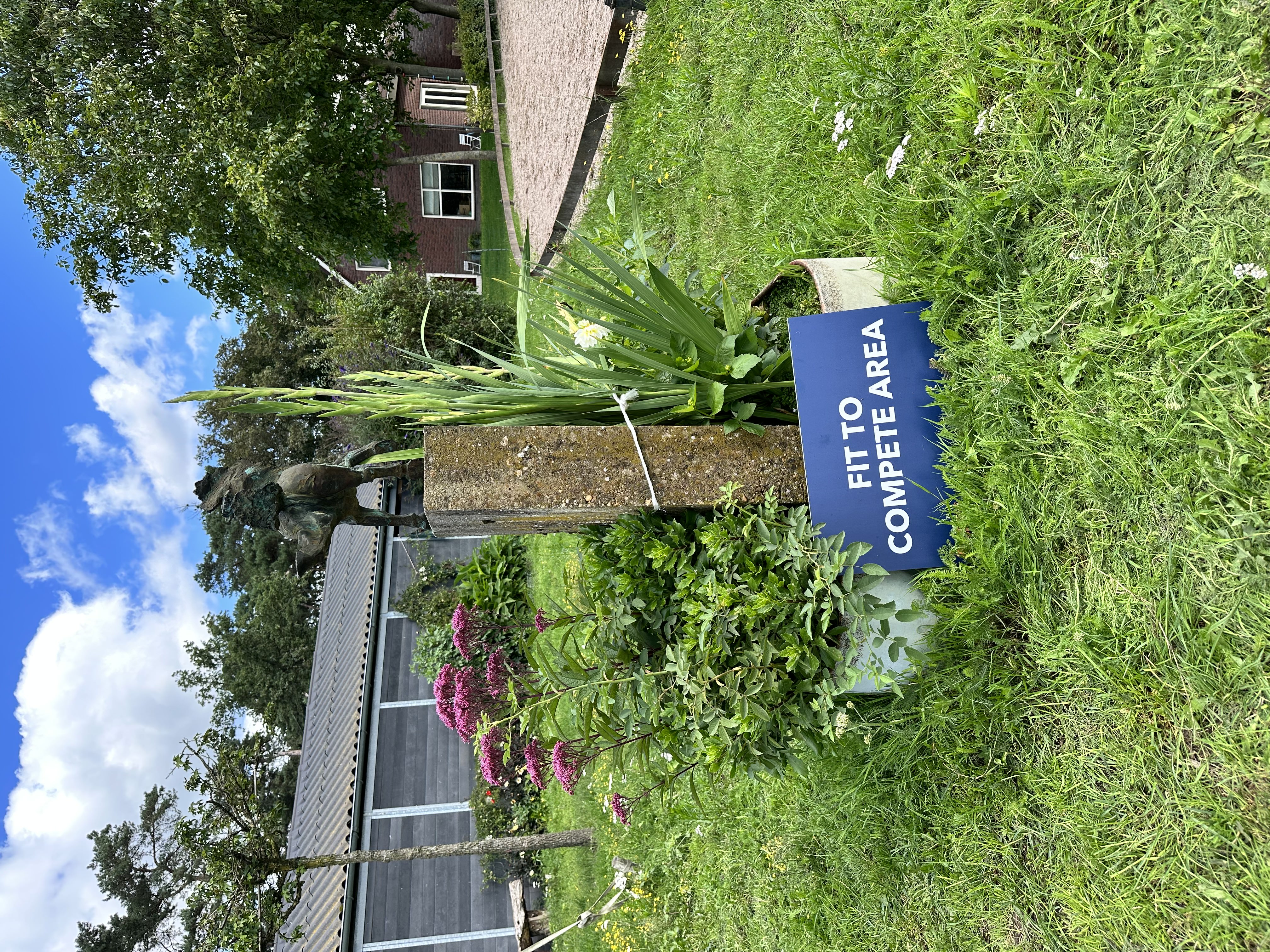 WK Oirschot 7 augustus: alle paarden Nederlandse Equipe Fit to Compete!