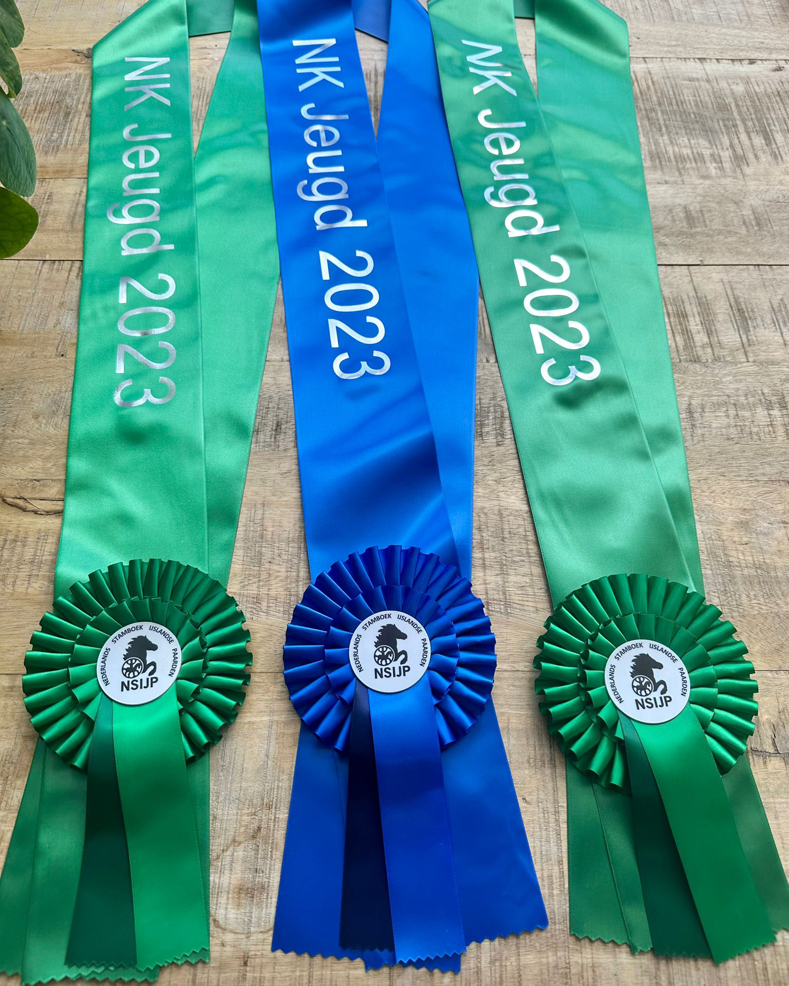 Programma Jeugd NK te Esbeek