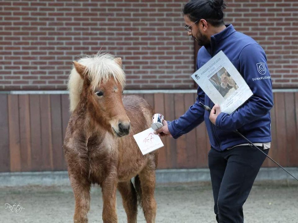 kort verslag Fokkerij Event 2023