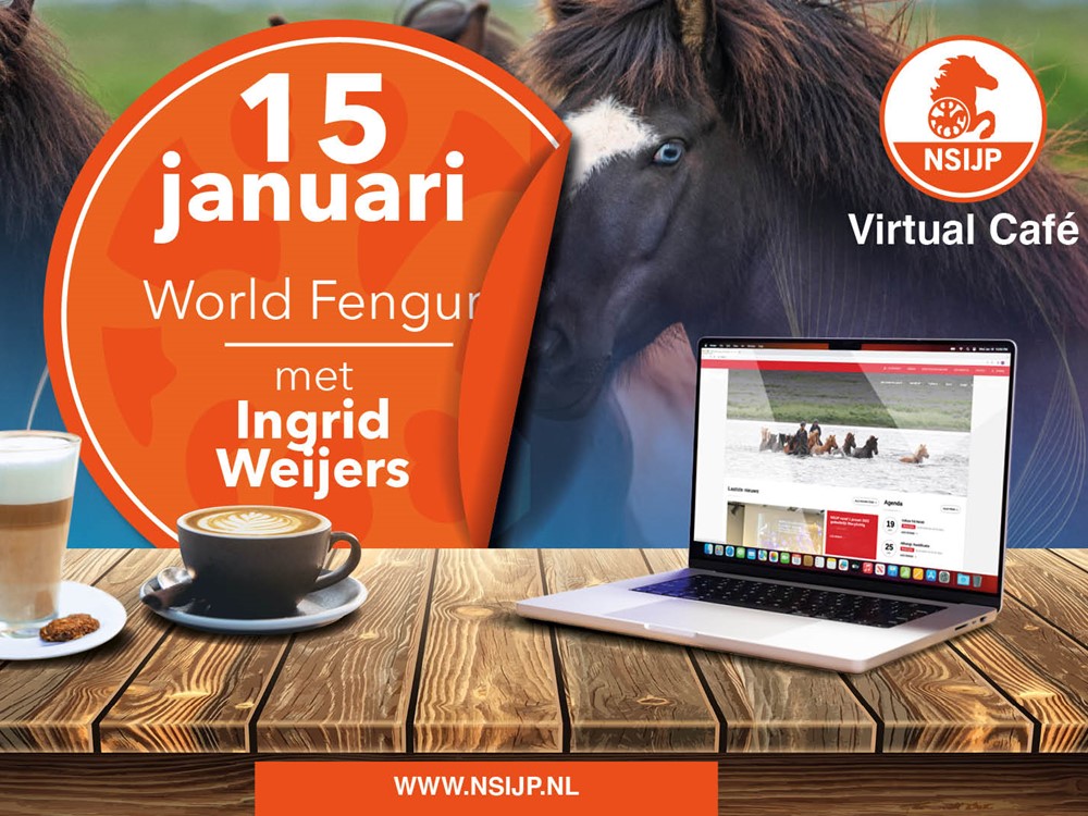 Schrijf je nu in voor het Virtual Café op 15 januari: World Fengur Tips & Tricks door Ingrid Weijers!
