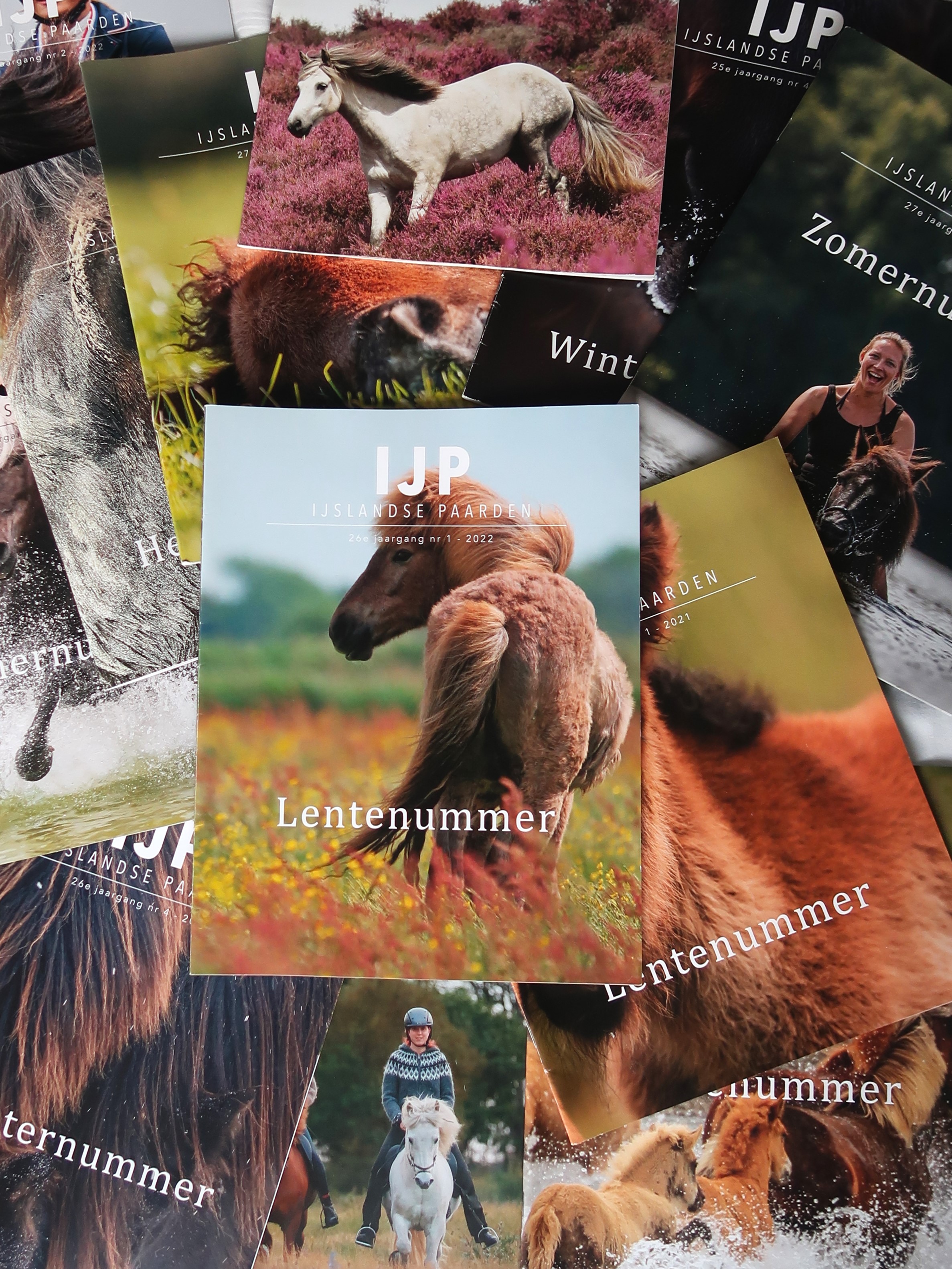 Oproep: we zoeken versterking (m/v) van de IJP redactie!