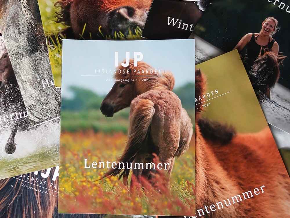 Oproep: we zoeken versterking (m/v) van de IJP redactie!