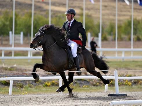 Traject Þórður Þorgeirsson