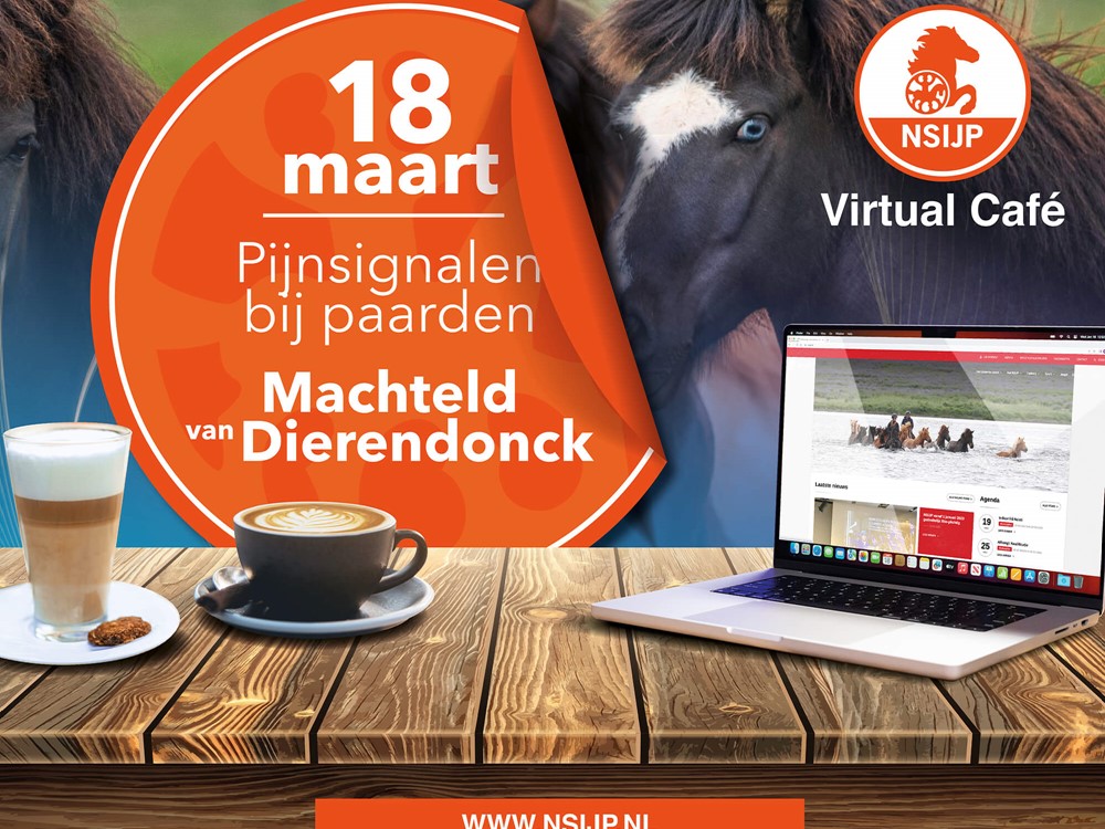 Virtueel Café 18 maart - Machteld van Dierendonck