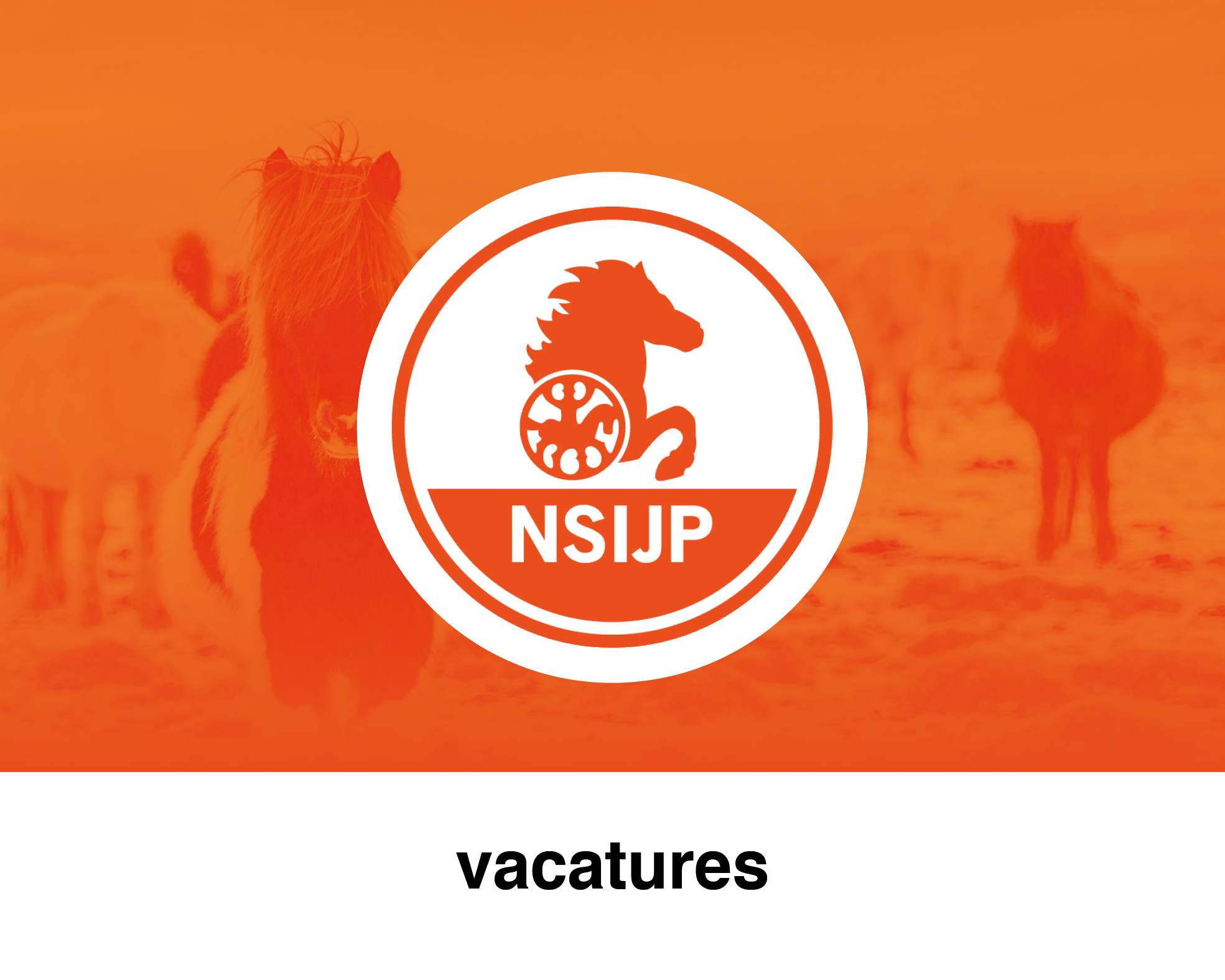 Kom jij ons helpen! Wij zoeken meer vrijwilligers