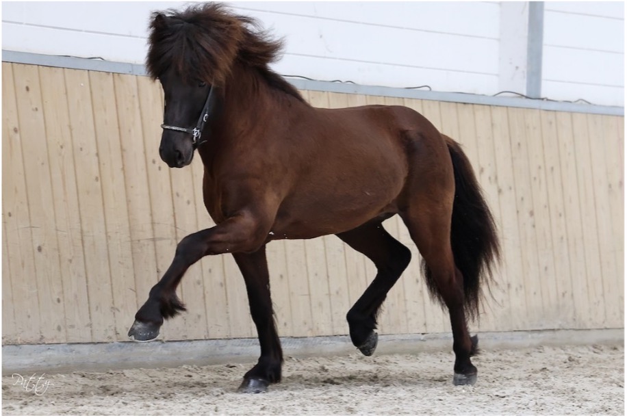 Wijziging en aanvulling Nieuwsbrief Fokkerij