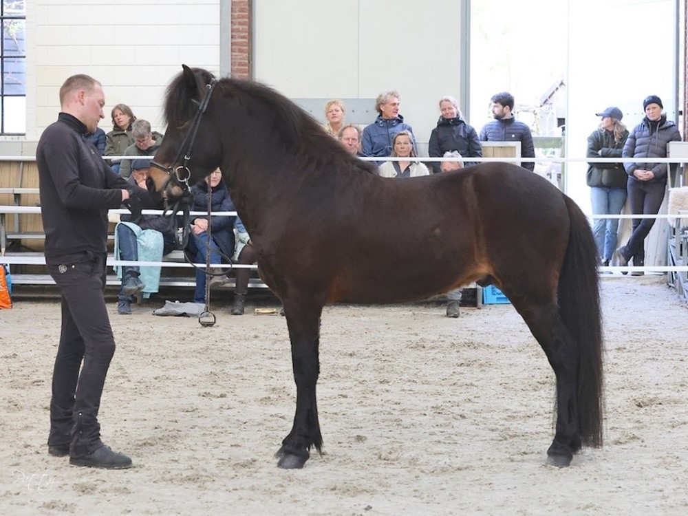 Inschrijving Fokkerij activiteiten geopend