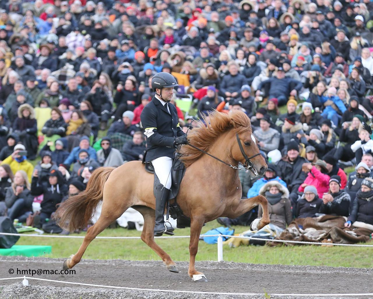 11 maart - Online lezing fokkerij
