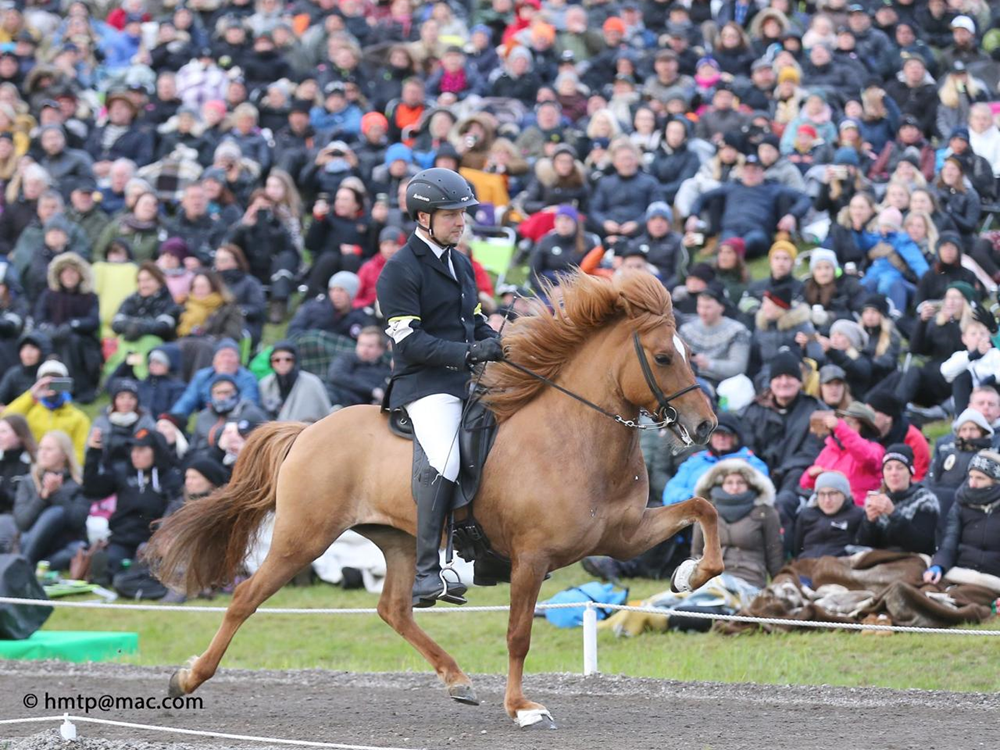 11 maart - Online lezing fokkerij