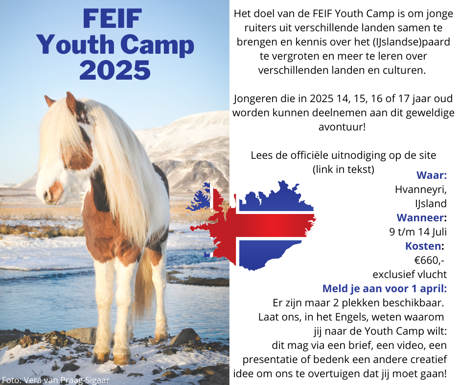 Youth Camp 2025