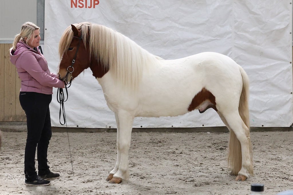 verslag Fokkerij weekend Hazerswoude-dorp