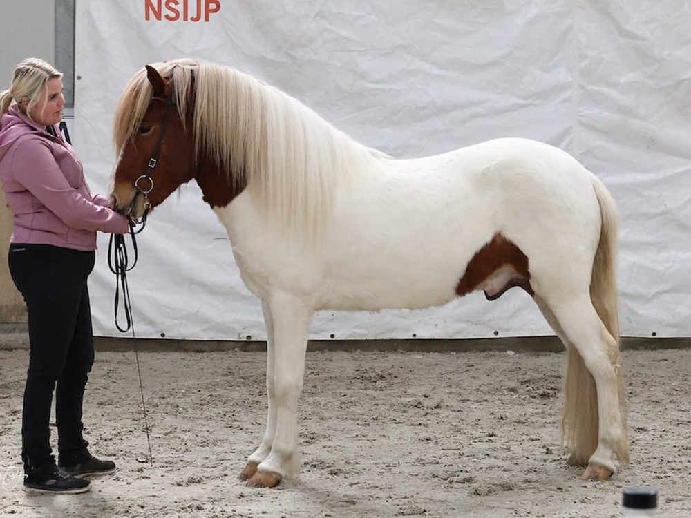 verslag Fokkerij weekend Hazerswoude-dorp