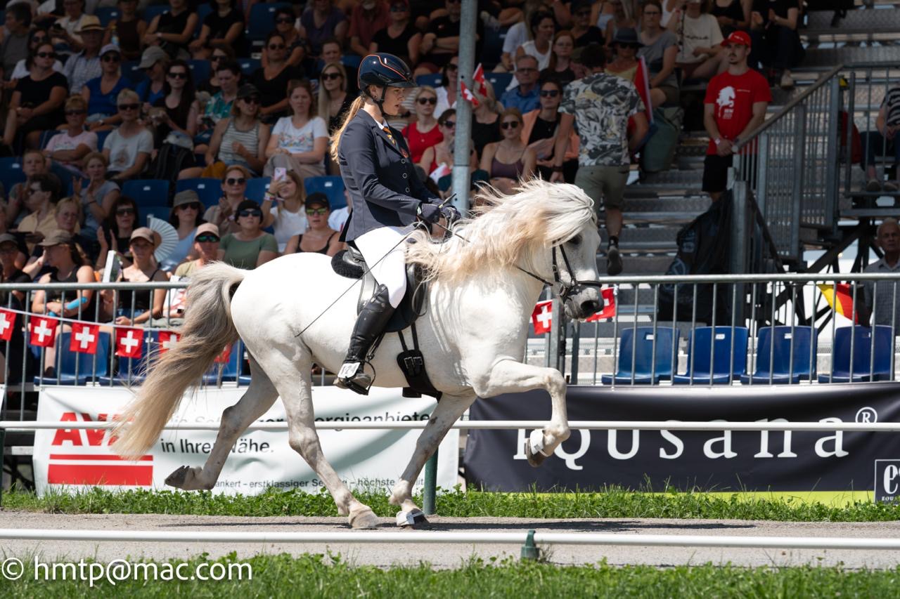Update van de laatste selectiedagen