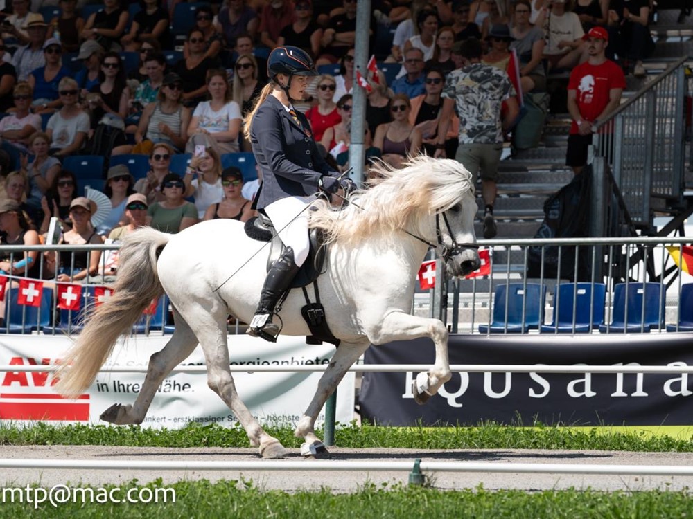 Update van de laatste selectiedagen