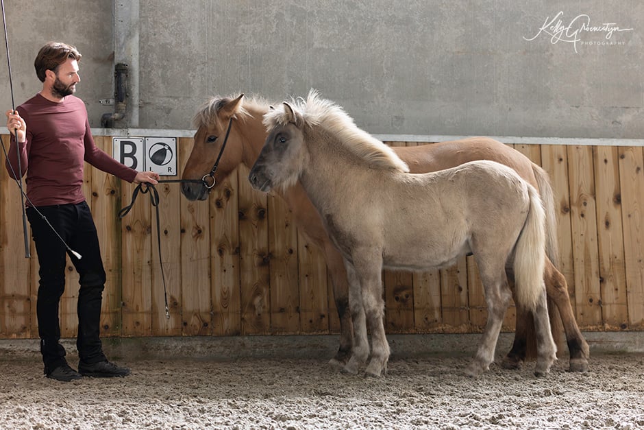 Uitslag en kort verslag Veulen- en Merriekeuring Hazerswoude-dorp