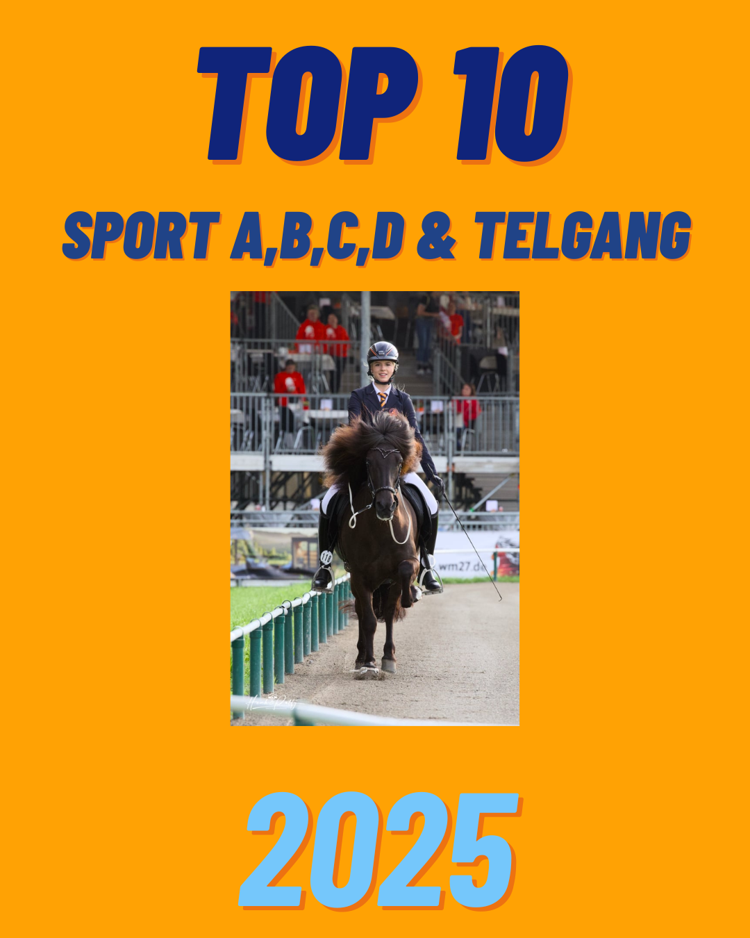 Top-10 Sportprestaties 2025