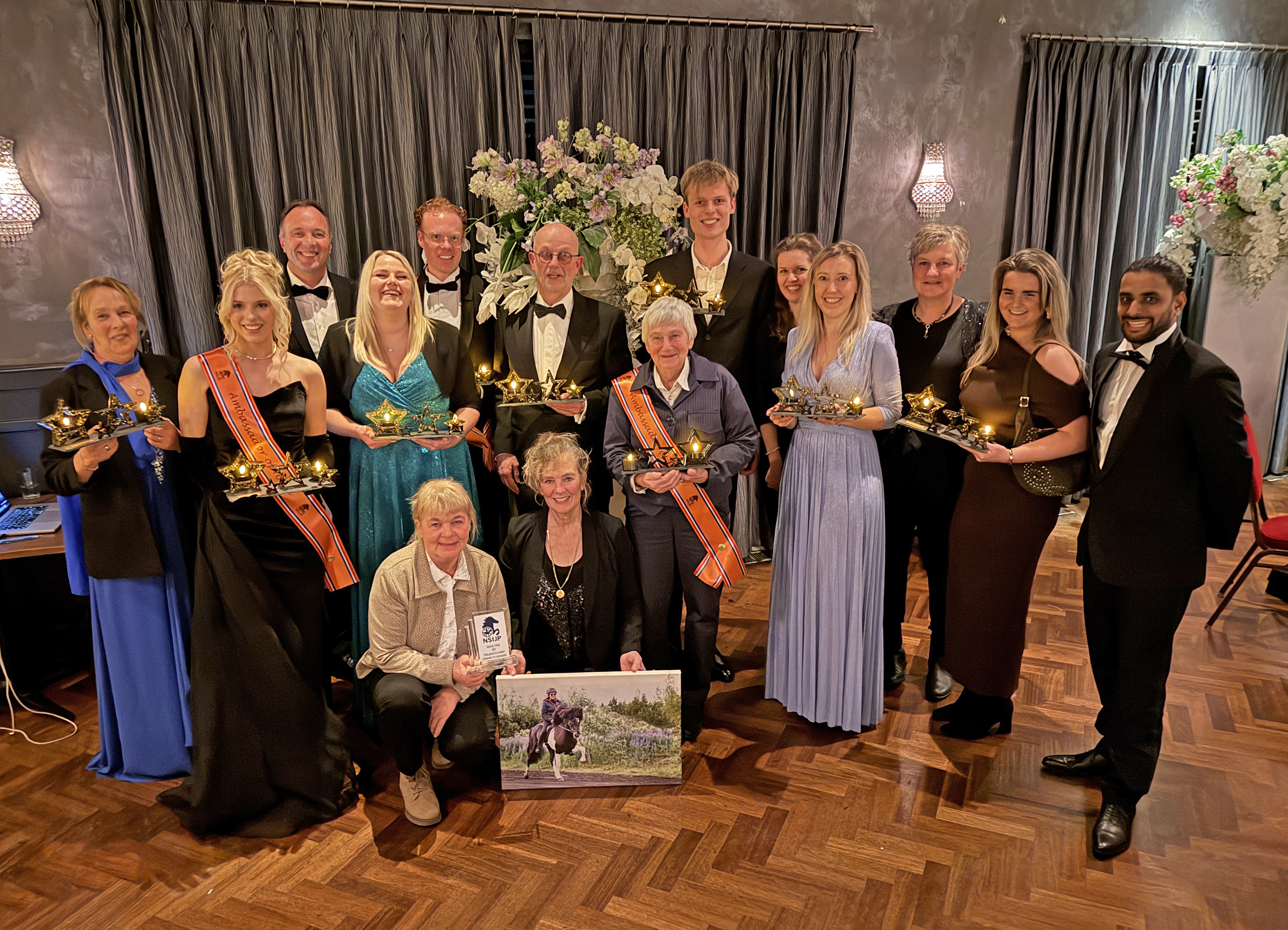 NSIJP Gala of the Stars - verslag