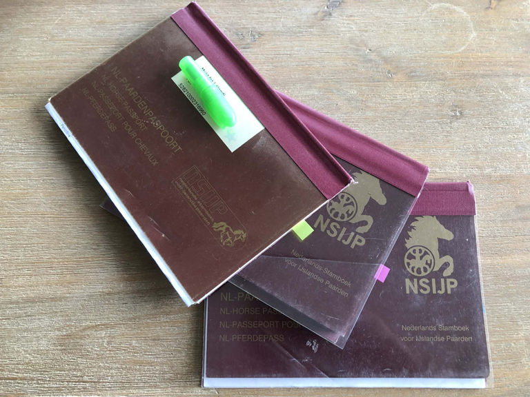 Wijziging in proces van afgifte en bezorging paardenpaspoort
