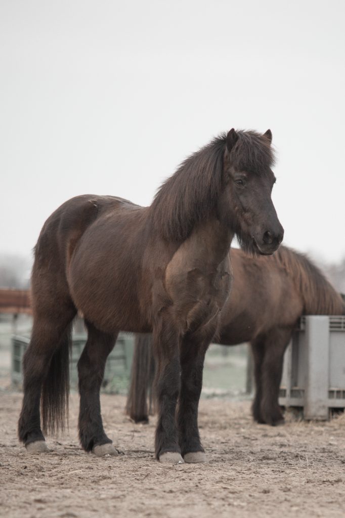 JVV Communicatie & Media