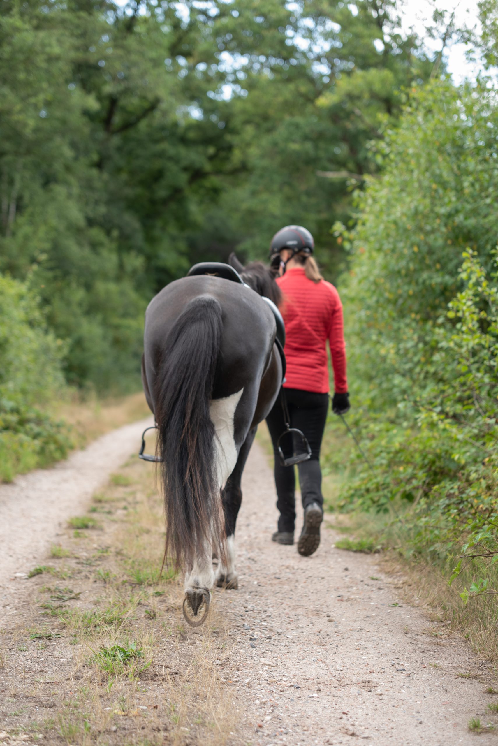 JVV Communicatie & Media