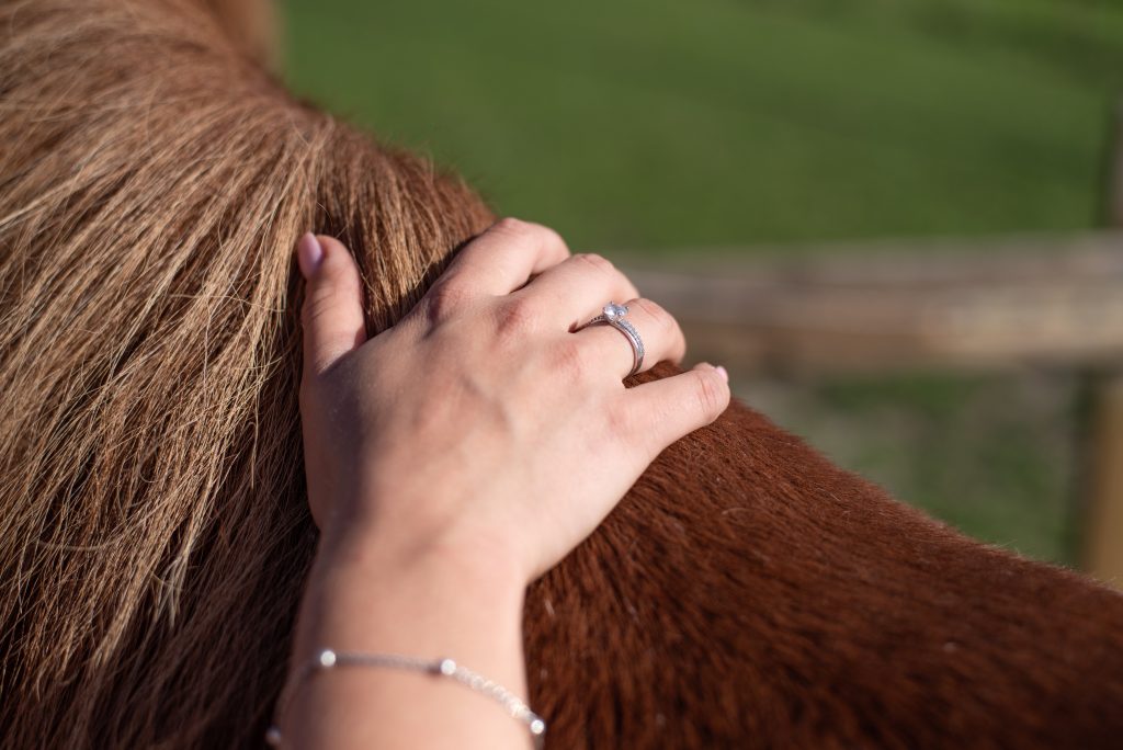 JVV Communicatie & Media