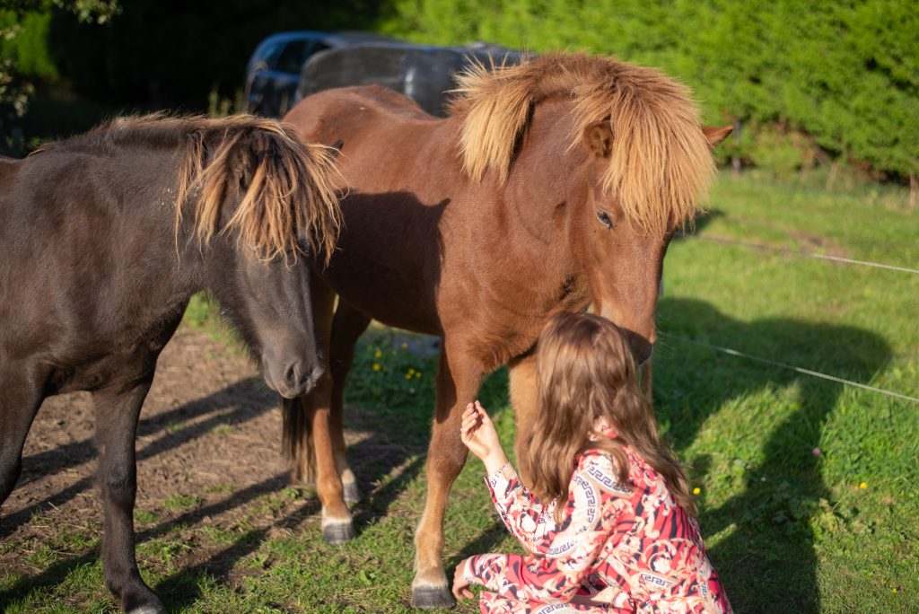 JVV Communicatie & Media