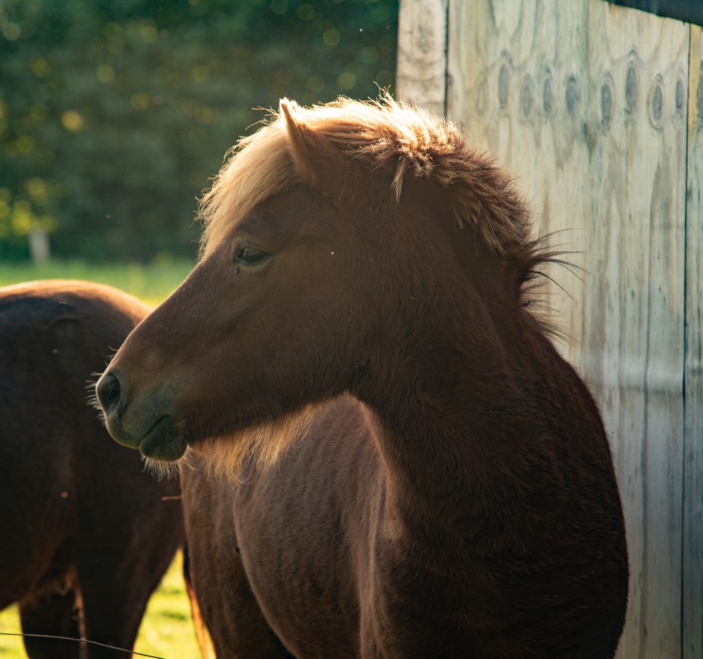 JVV Communicatie & Media