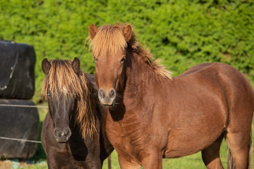 JVV Communicatie & Media