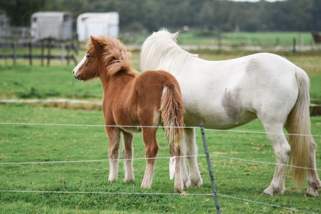 JVV Communicatie & Media