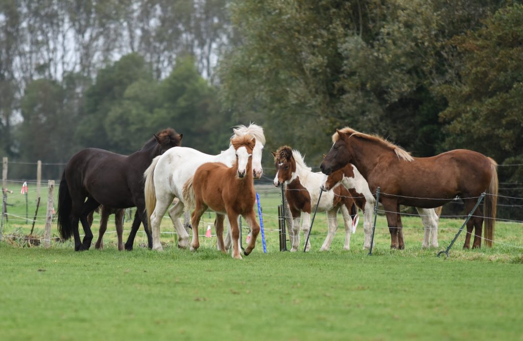 JVV Communicatie & Media