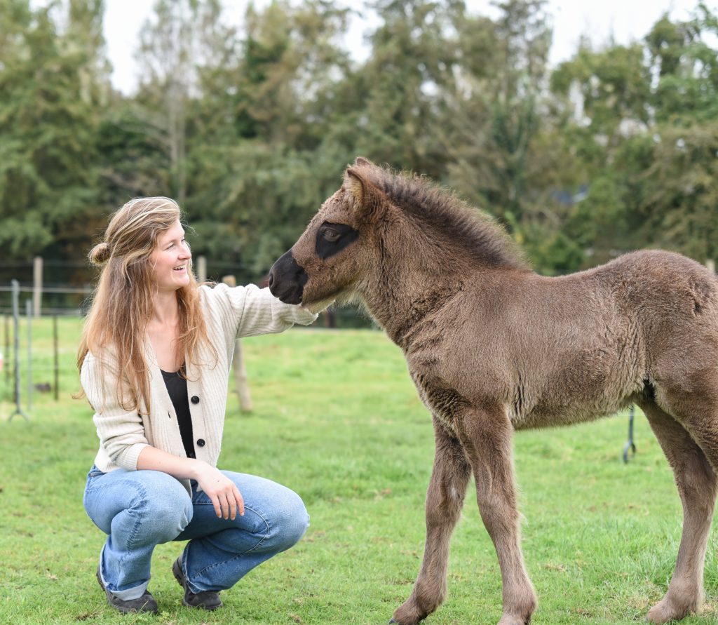 JVV Communicatie & Media