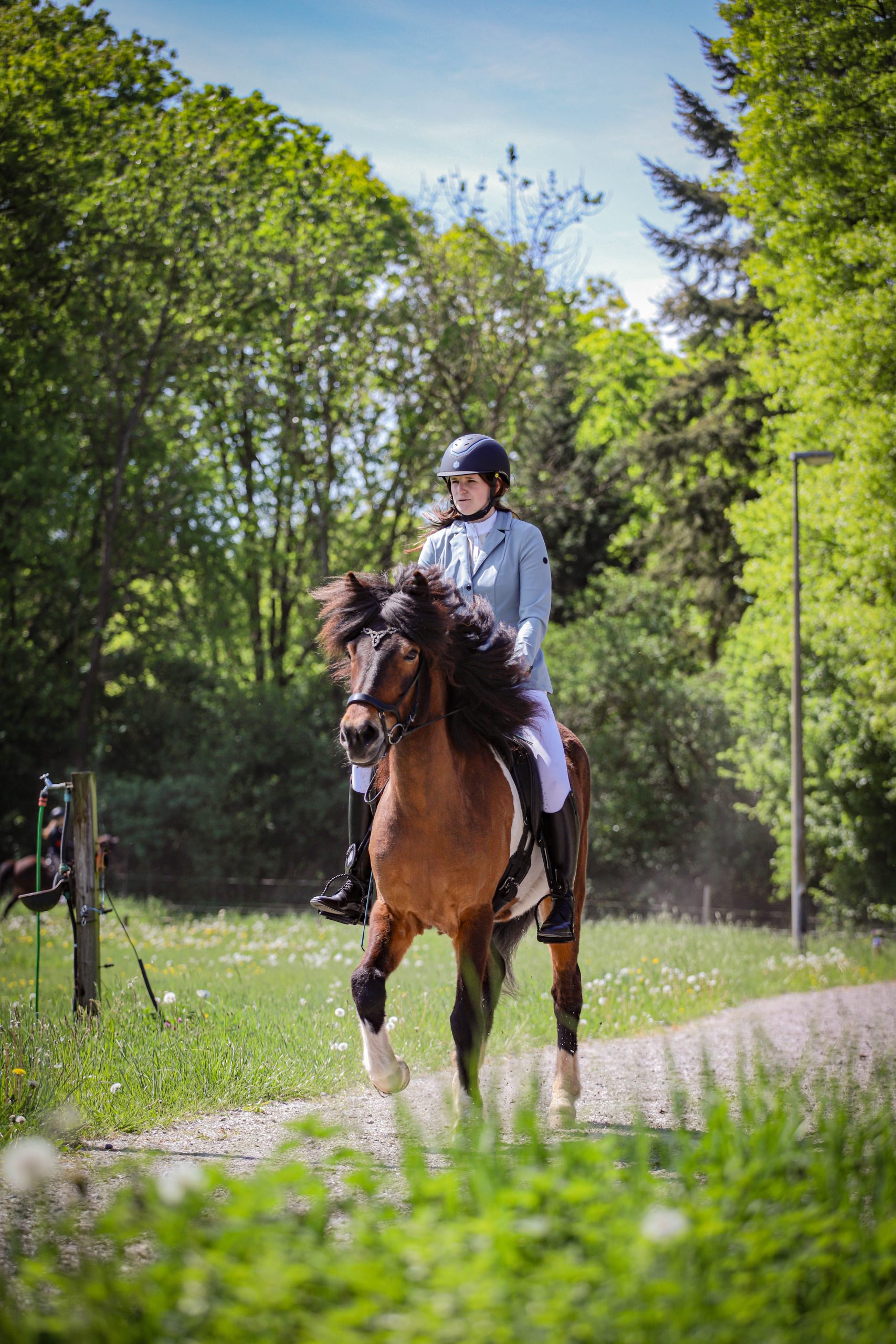 Aangeleverd door Leann Hunt