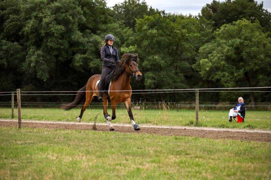 Aangeleverd door Leann Hunt