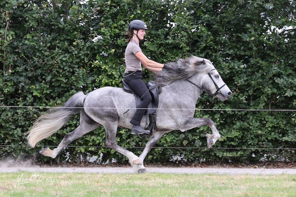 Linda Roosen met Júlía frá Rósagrund, FIZO 2025. Foto: Patty van der Kaaij