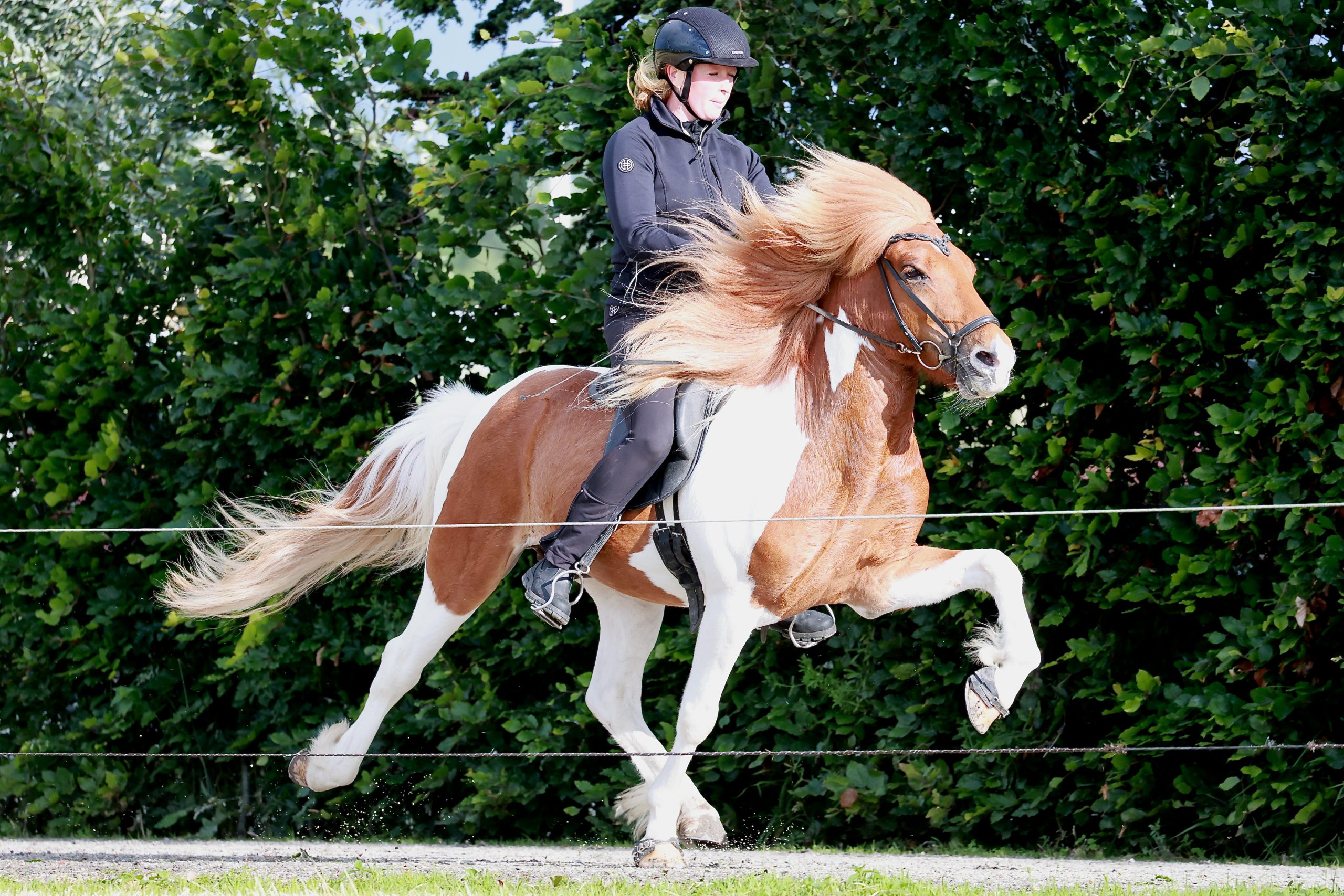 Patty van der Kaaij